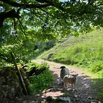 The Wharfe - Cosy, Comfortable Retreat דירה