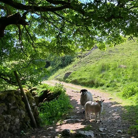 The Wharfe - Cosy, Comfortable Retreat Apartmán