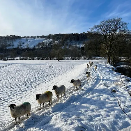 The Wharfe - Cosy, Comfortable Retreat דירה