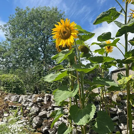 The Wharfe - Cosy, Comfortable Retreat Appartement *